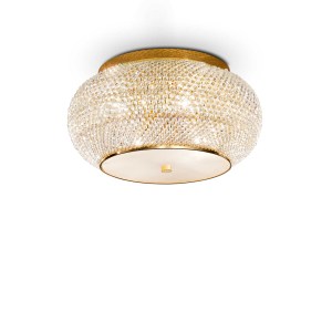 100807_WEB001_PASHA_PL6_ORO.jpg