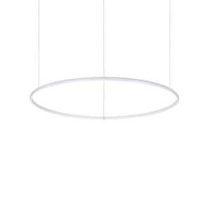 258768_WEB001_HULAHOOP_SP_D080.jpg