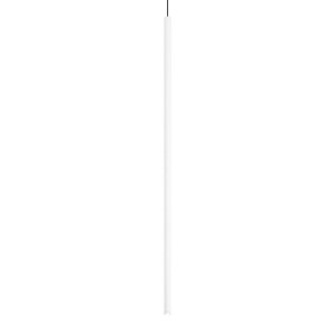 263687_WEB001_FILO_SP1_BIANCO.jpg